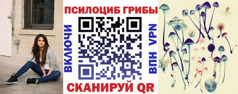 Псилоцибиновые грибы мухоморы  Пудож 